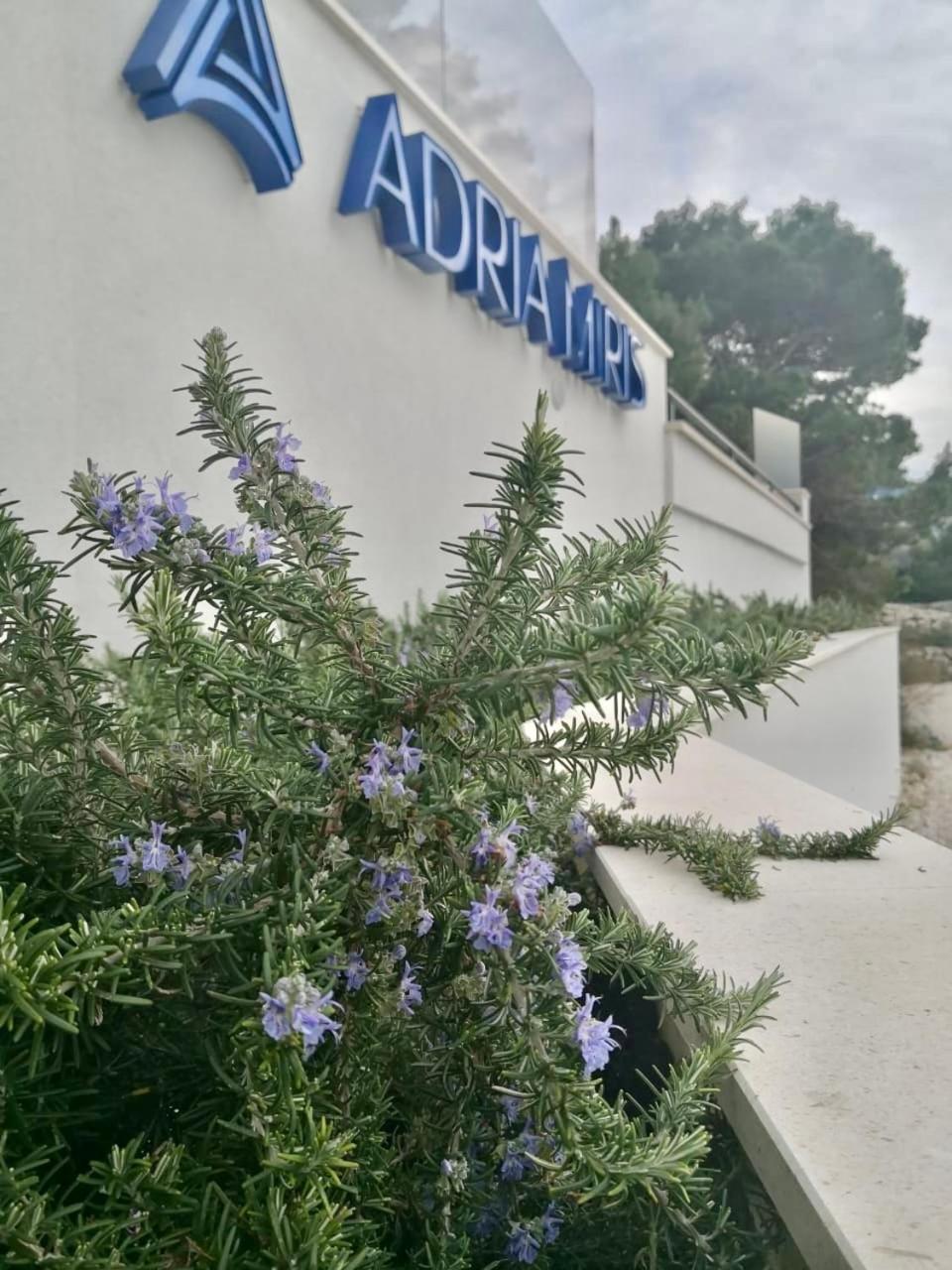Adria Miris Apartments Drasnice Exterior foto